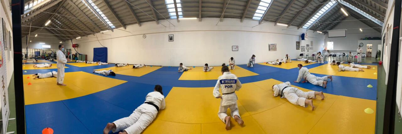 TReino-Judo-Pos-COVID19-1280x429.jpg