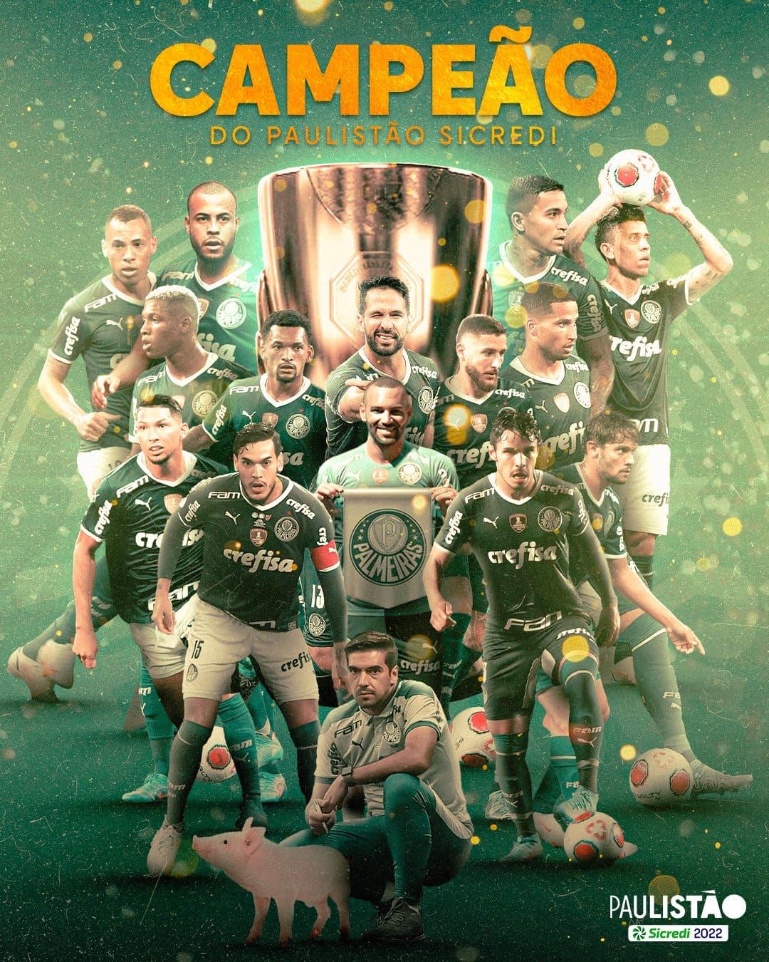 Palmeiras conquista 25º título no Campeonato Paulista - BLOG DO VALDEMIR