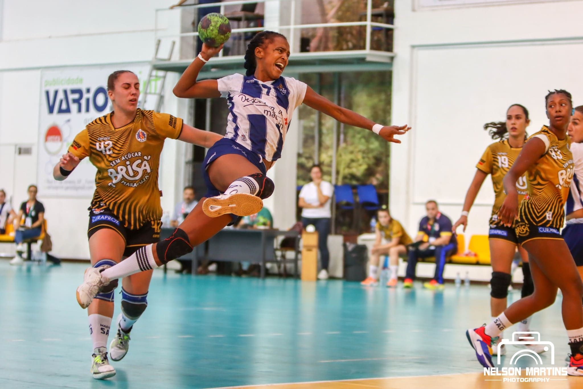 Andebol Feminino Português: Nova época, Planteis Renovados Pt.4