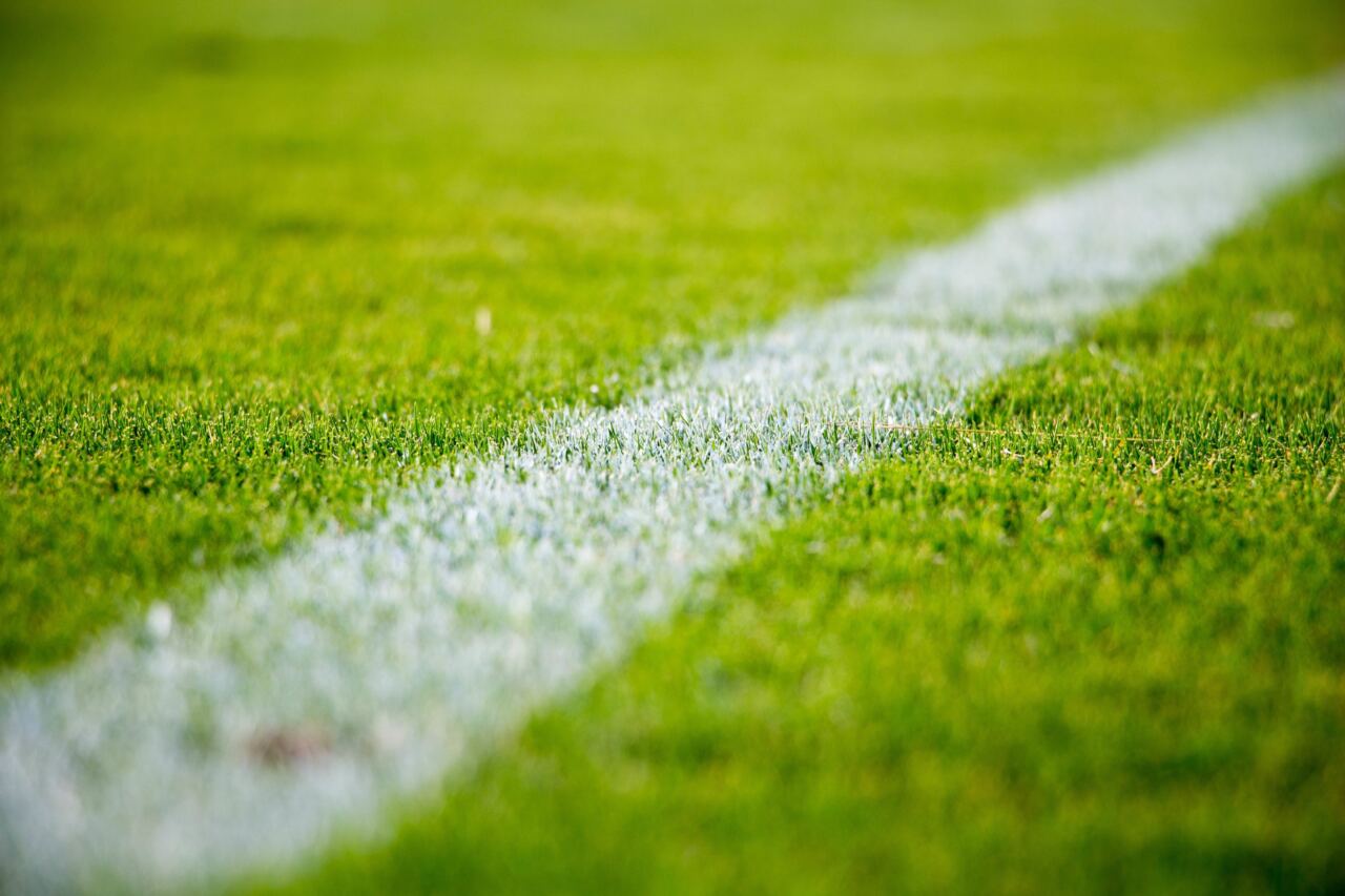stocksnap-grass-2616911-1280x853.jpg